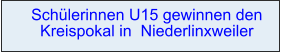 Schülerinnen U15 gewinnen den  Kreispokal in  Niederlinxweiler