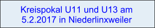 Kreispokal U11 und U13 am 5.2.2017 in Niederlinxweiler