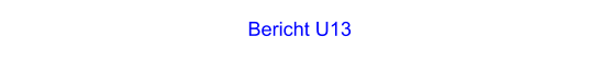 Bericht U13